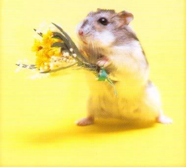 hamster_flowers.jpg