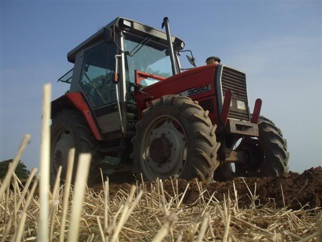 Rhodeploughingmatch199200935Small.jpg