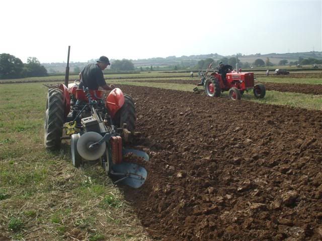 Rhodeploughingmatch199200944Small.jpg