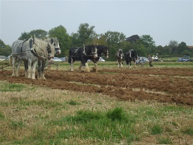 Rhodeploughingmatch199200972Small.jpg