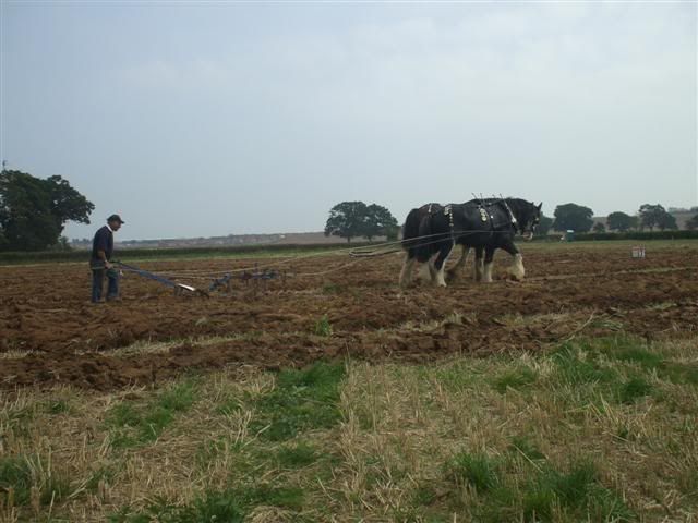 Rhodeploughingmatch199200974Small.jpg