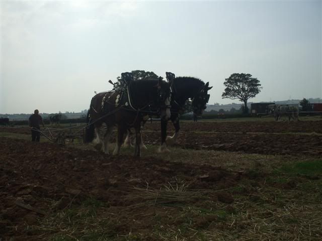 Rhodeploughingmatch199200975Small.jpg