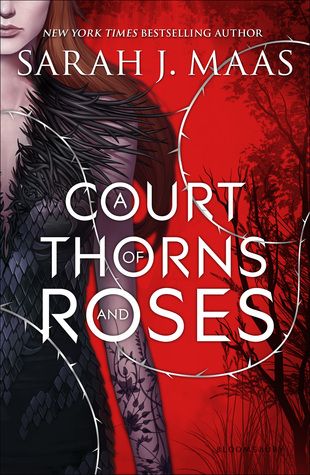 A Court of Thorns and Roses photo 16096824_zps97656ce3.jpg