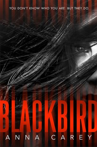 Blackbird photo 18710739_zps161a753a.jpg