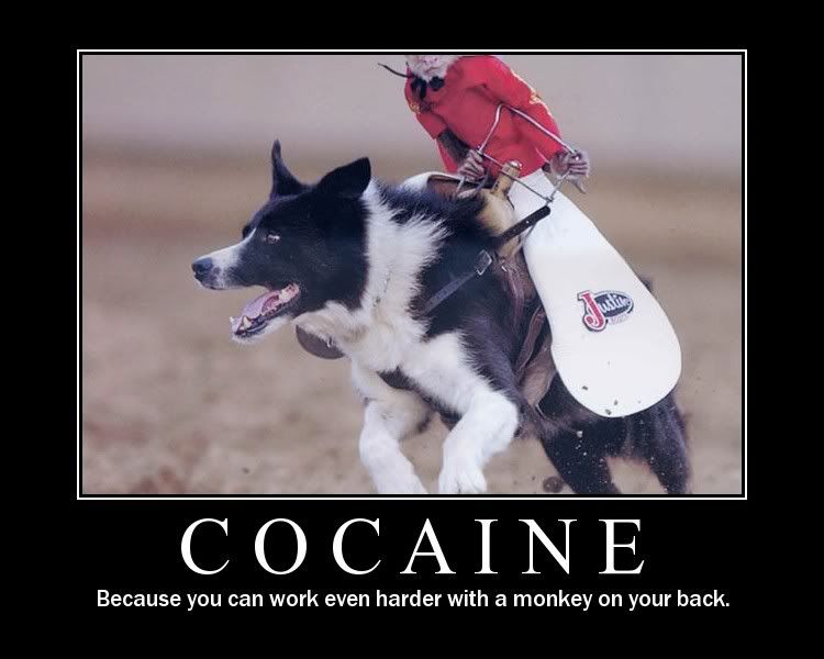 cocaine.jpg