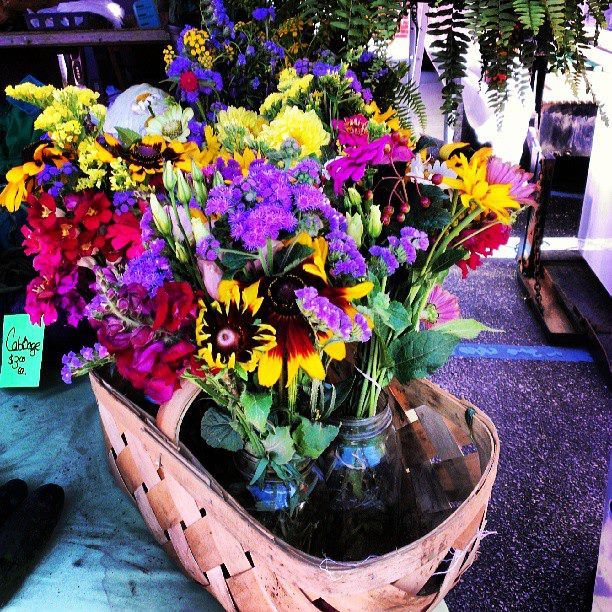 FLowers picked at the Bloomington Farmers Market by my Daughter!(pic by my daughter too!)