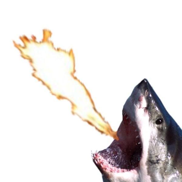 Fire Breathing Shark