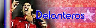 delantero.jpg