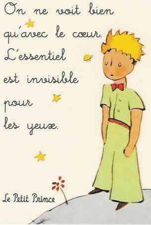 PetitPrince_AntoineDeSaintExupery.jpg Le Petit Prince image by morticia_cadaver