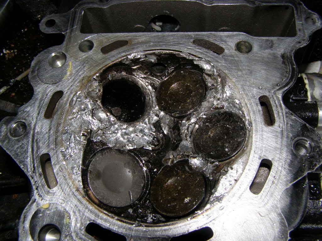 Yamaha Raptor Motor