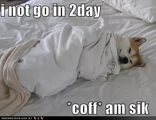 funny-dog-pictures-sick-in-bed-coug.jpg Photo by Charms777 ...