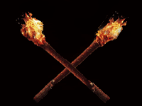 Welcome to Pirates of the Blogger