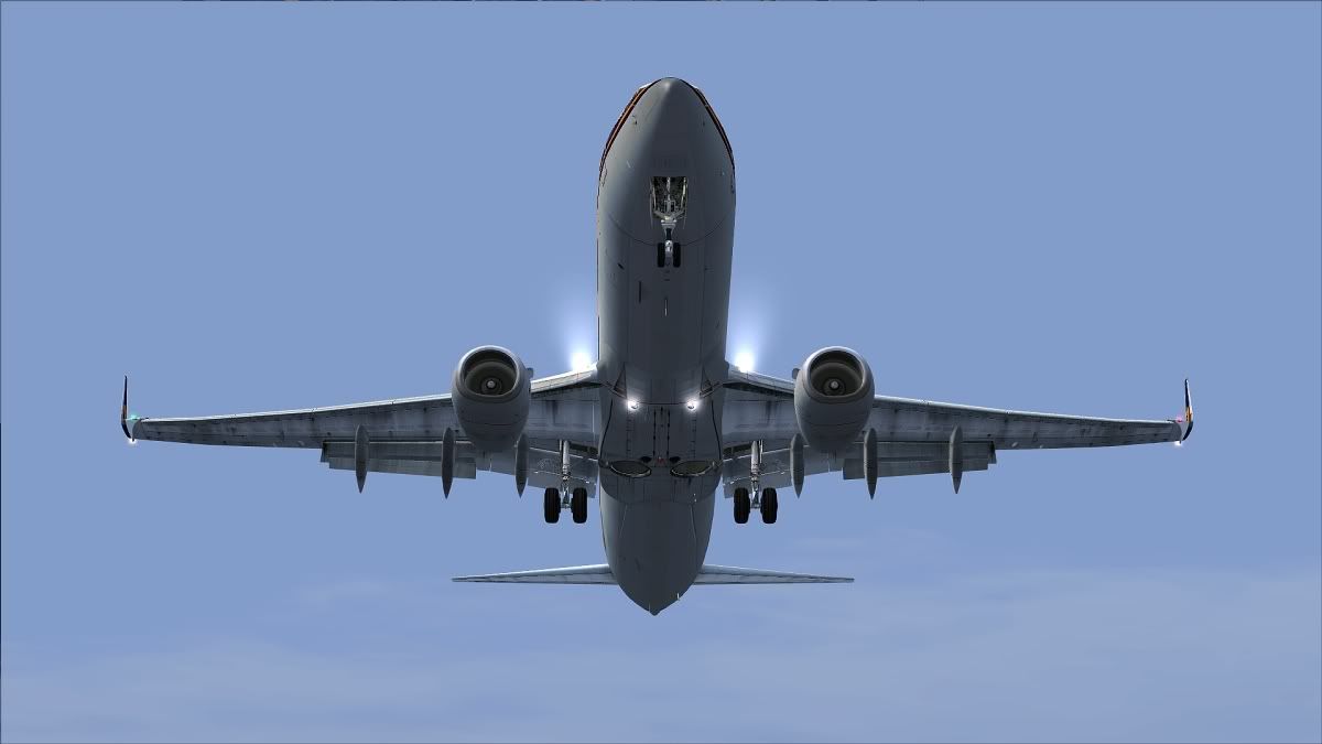 73712.jpg