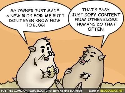 Hamsters on Content Scraping