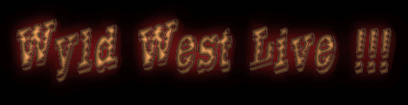 DJ Wyld West Live