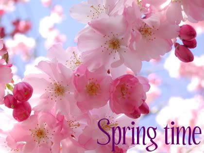 spring Pictures, Images and Photos