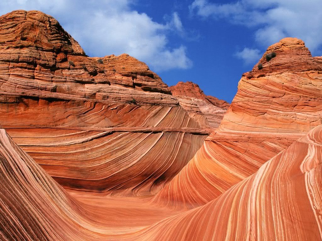 The_Wave_Paria_Canyon-Vermilion_Cli.jpg
