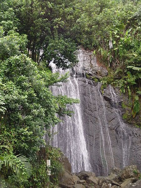 El Yunque