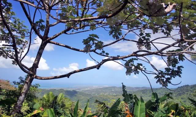 El Yunque