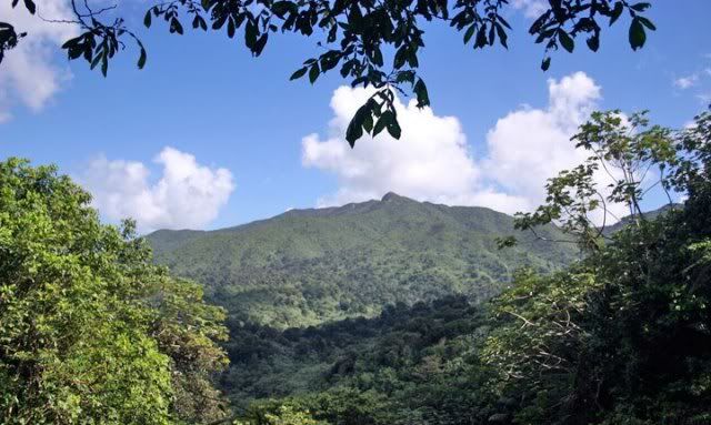 El Yunque