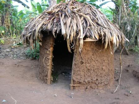 mud hut Pictures, Images and Photos