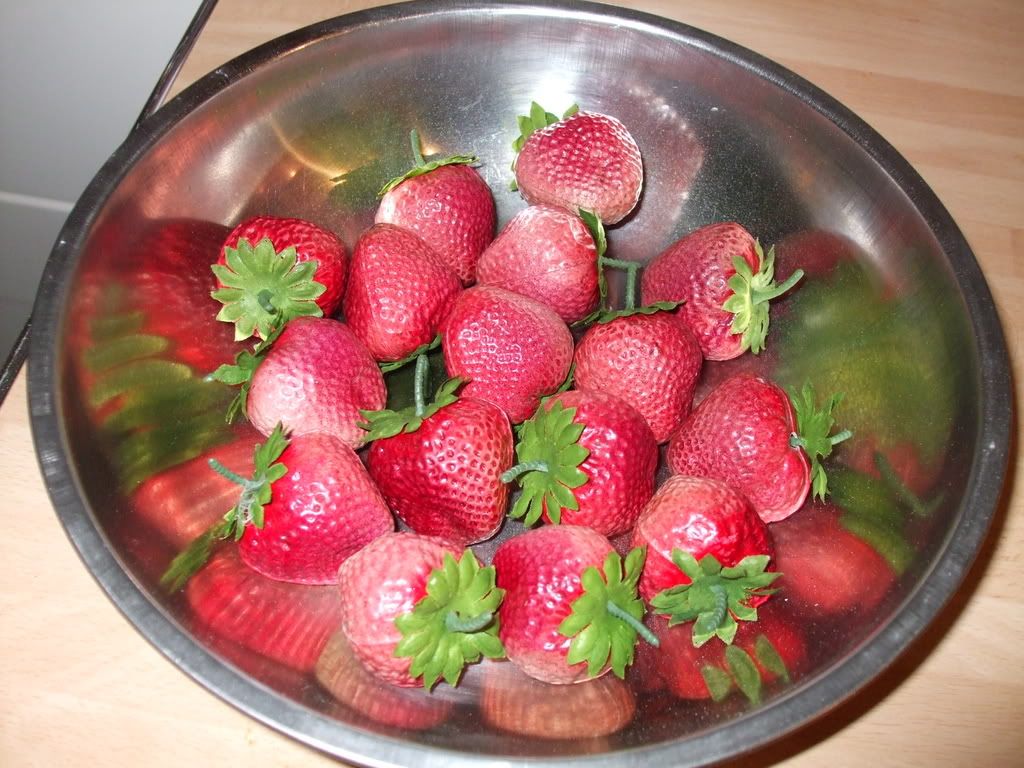 DSCF1163.jpg