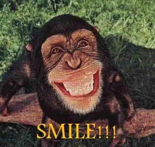 funny, comment, monkey, smile