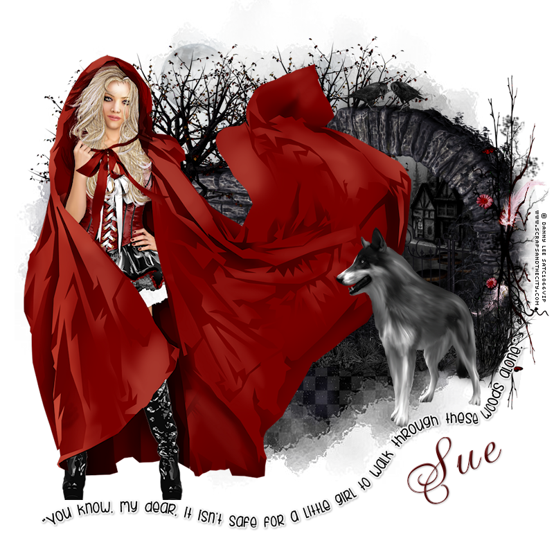  photo redridinghood-1.png