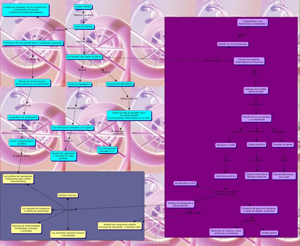GENETICA POWER POINT genetica power point: