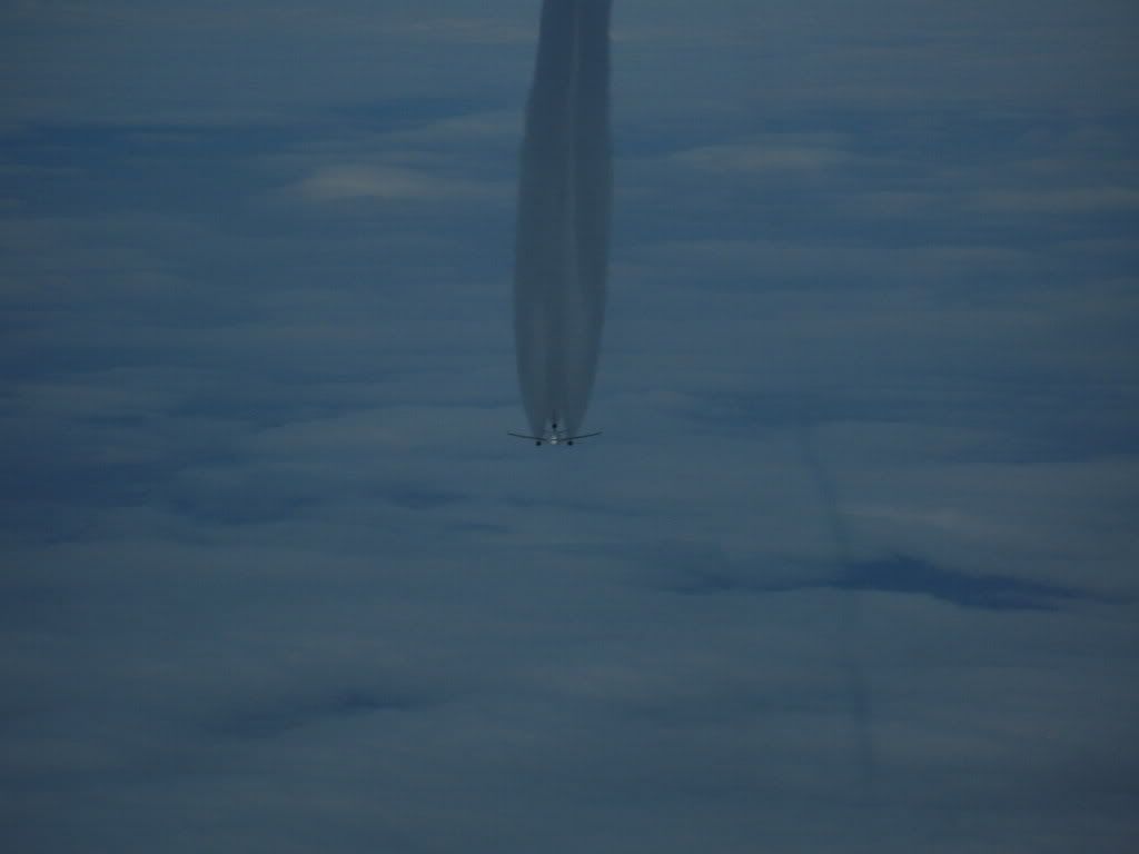 IMAGE: http://i237.photobucket.com/albums/ff249/jungle375/54743adf.jpg