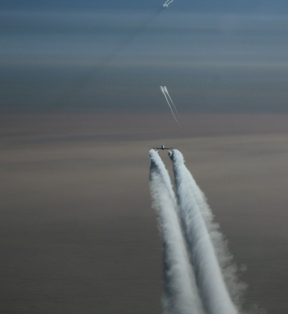 IMAGE: http://i237.photobucket.com/albums/ff249/jungle375/54b89897.jpg