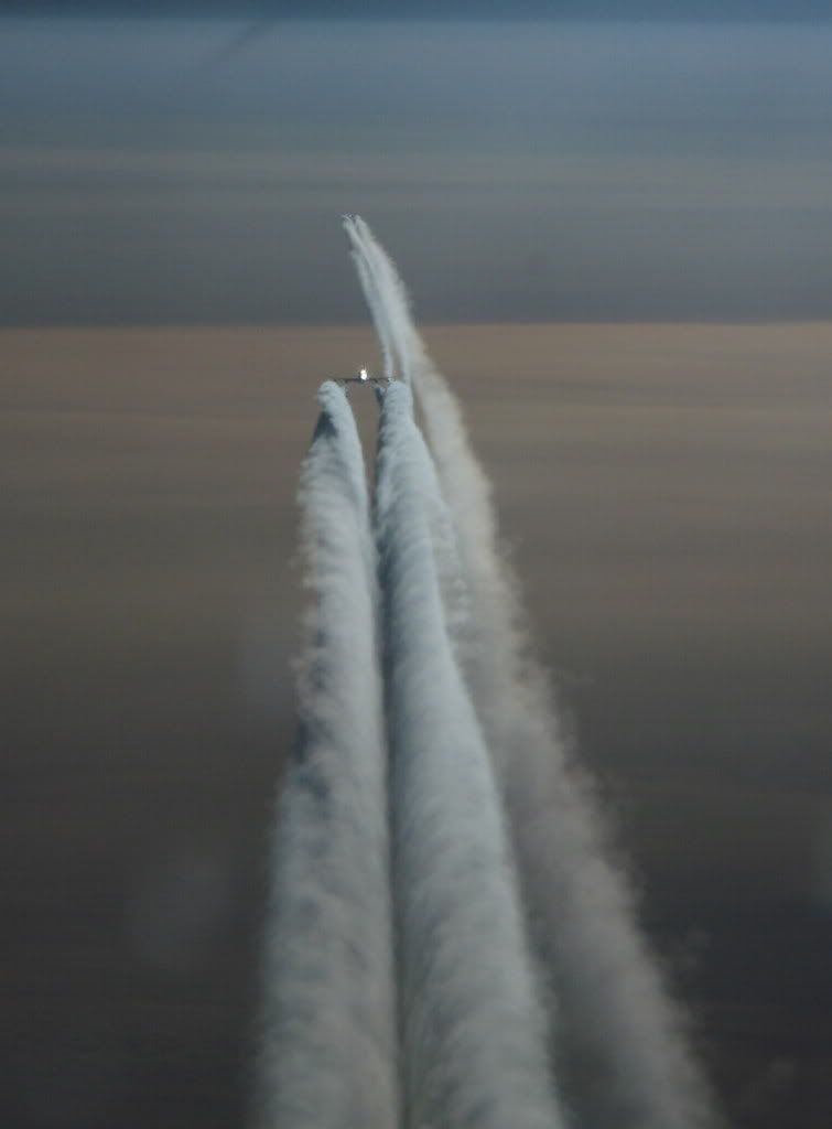 IMAGE: http://i237.photobucket.com/albums/ff249/jungle375/5652003f.jpg