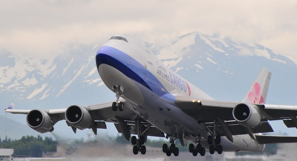 IMAGE: http://i237.photobucket.com/albums/ff249/jungle375/DSC_0845.jpg