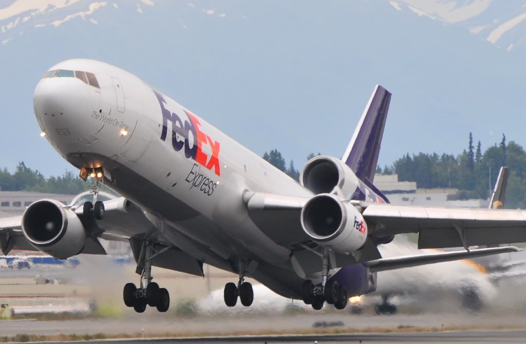 IMAGE: http://i237.photobucket.com/albums/ff249/jungle375/DSC_0873.jpg