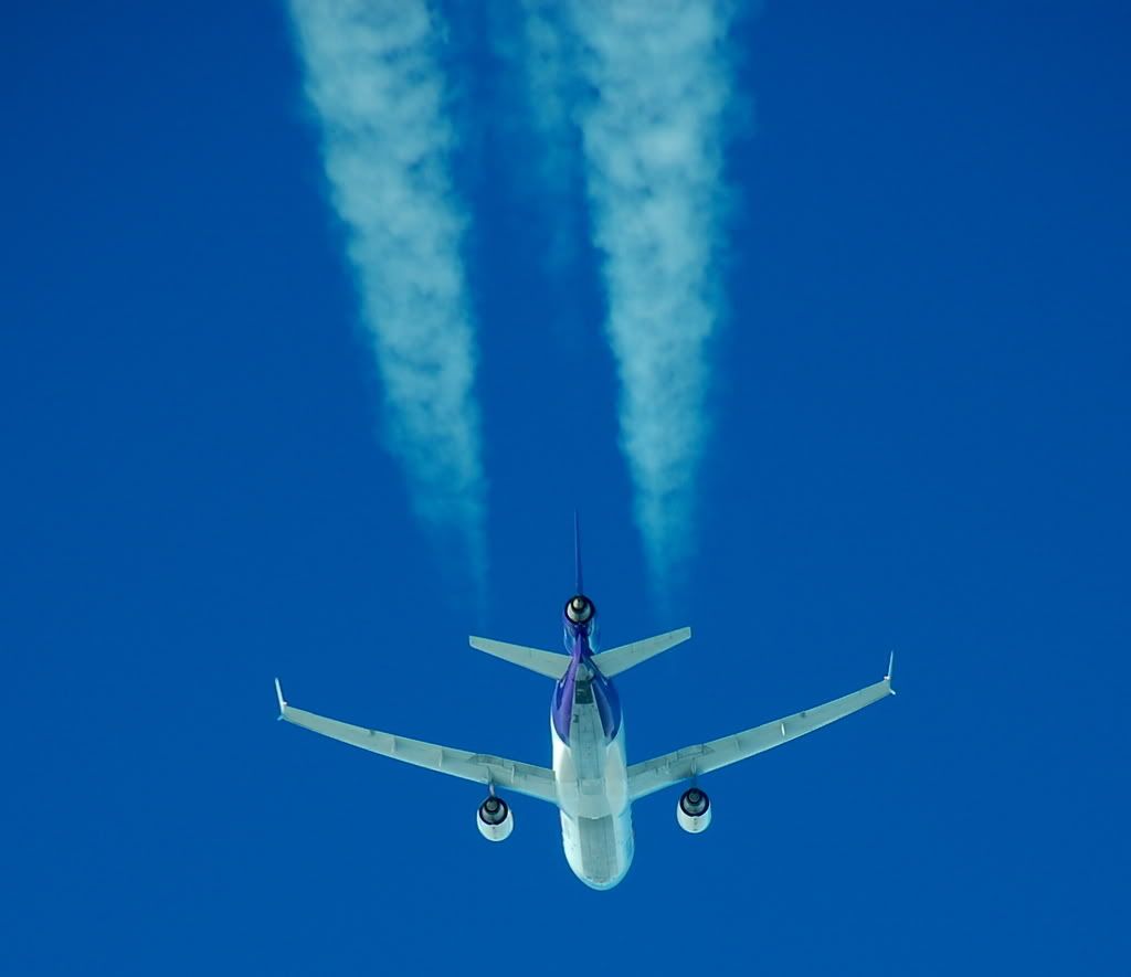 IMAGE: http://i237.photobucket.com/albums/ff249/jungle375/DSC_0939.jpg