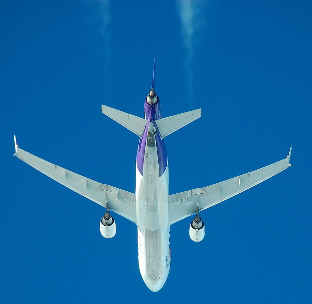 IMAGE: http://i237.photobucket.com/albums/ff249/jungle375/DSC_0945.jpg