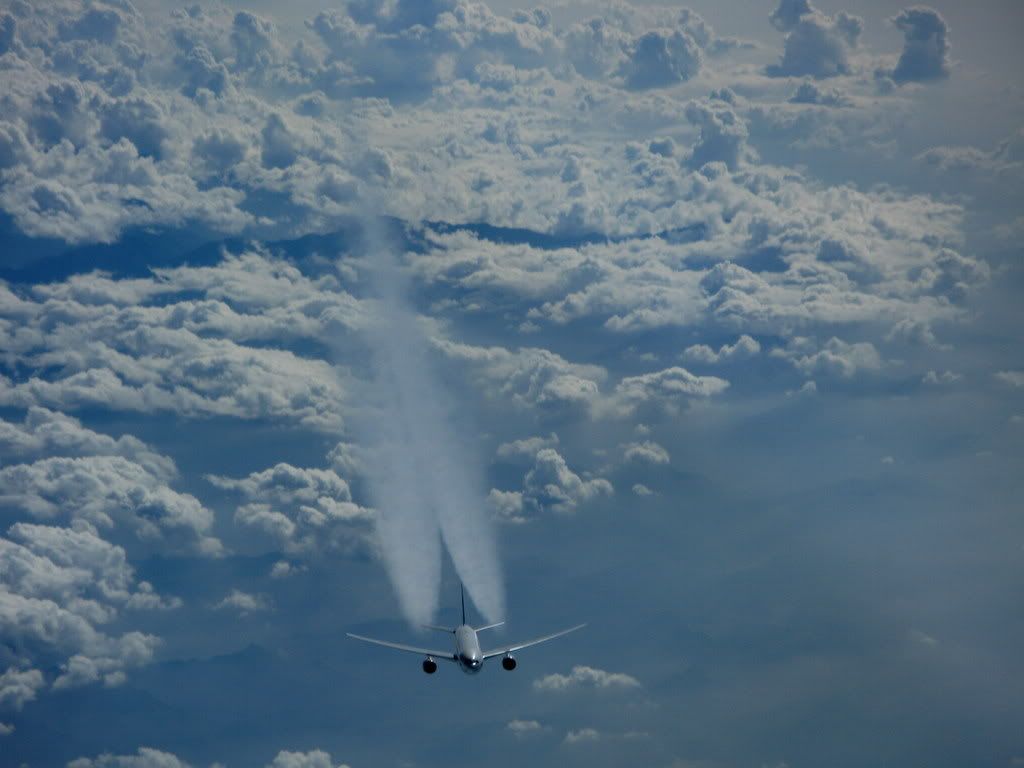 IMAGE: http://i237.photobucket.com/albums/ff249/jungle375/IMG_2617.jpg