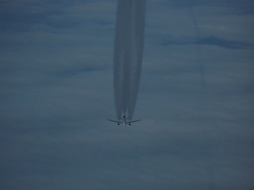 IMAGE: http://i237.photobucket.com/albums/ff249/jungle375/a8e5d34c.jpg