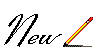 New2.gif
