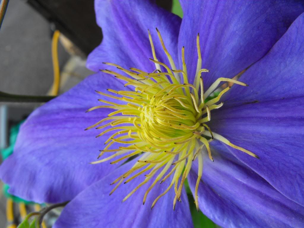 DSCF0452.jpg