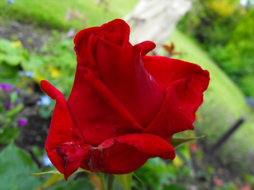 DSCF0483.jpg