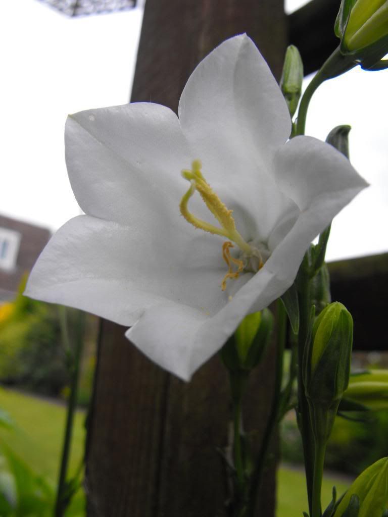 DSCF0499.jpg