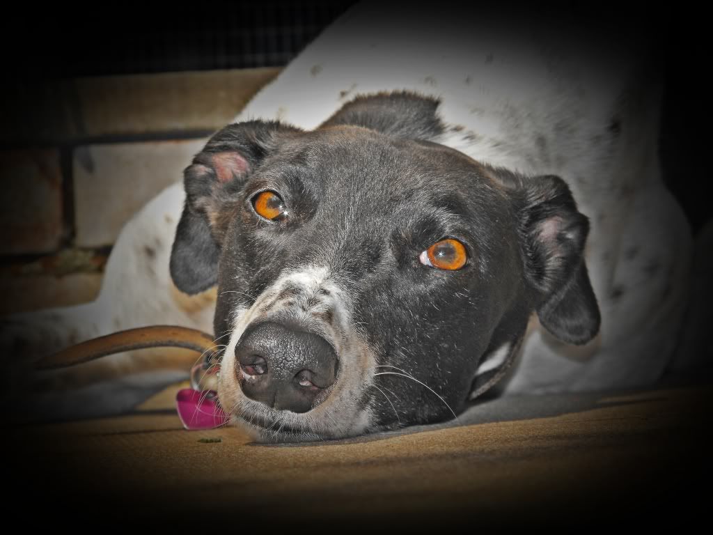 DSCF31011.jpg