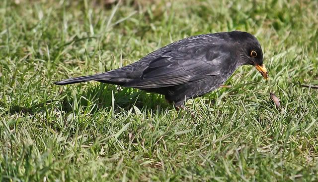 IMG_0114-2.jpg