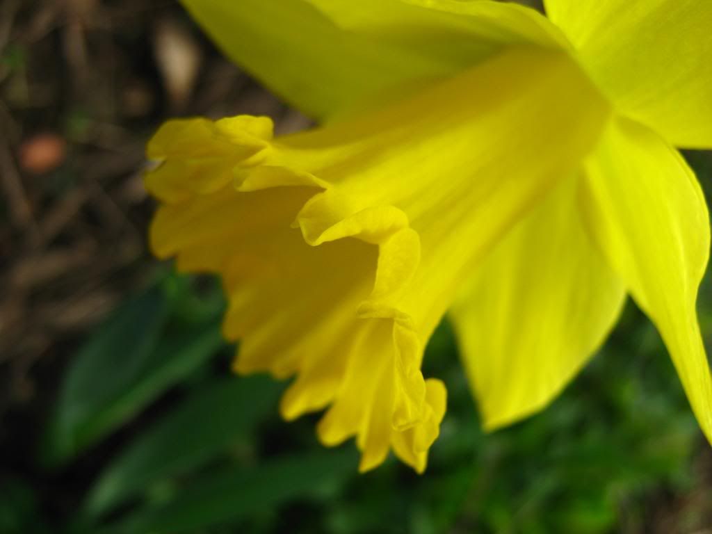 IMG_3772.jpg