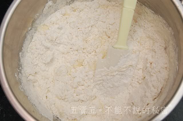 2010小黑生日禮物