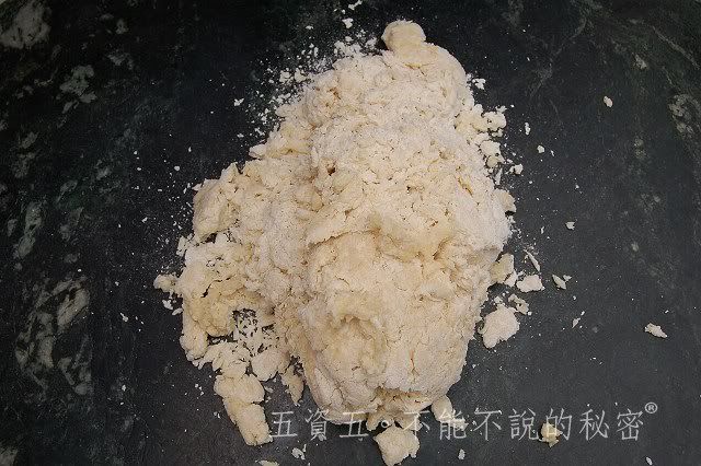 2010小黑生日禮物