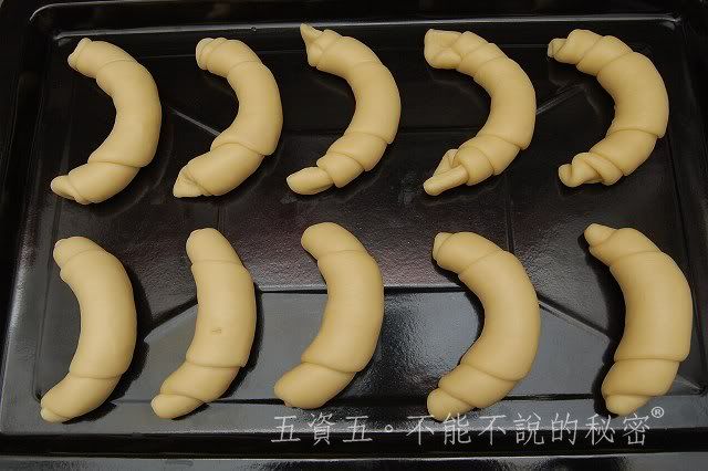 2010小黑生日禮物