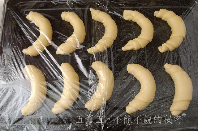 2010小黑生日禮物