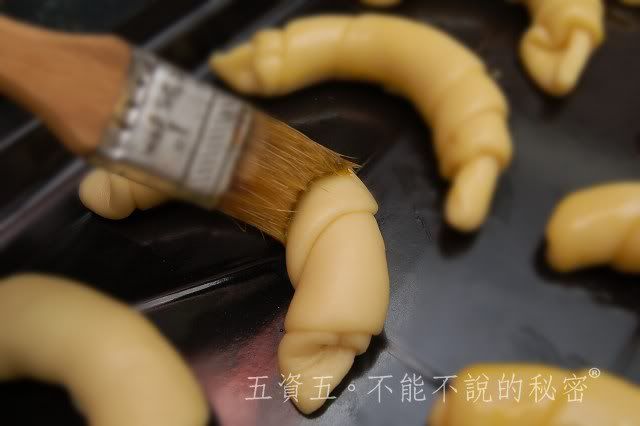 2010小黑生日禮物
